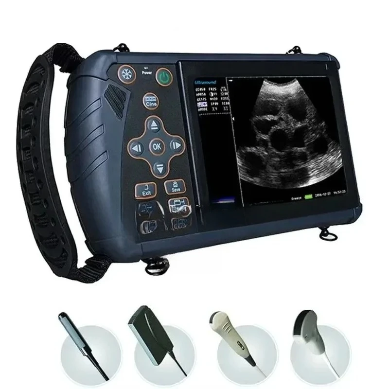 Ultrasonic Equipment Portable Cattle and Horse Animal Detection Diagnosis Early Check Cattle