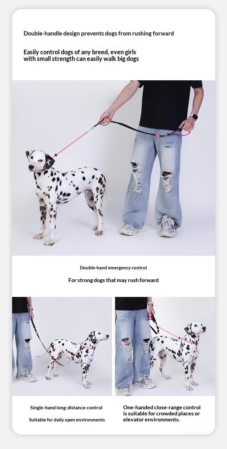 Leashes Pet Dog Outing Rope Leash Collar P-Shaped Chain Slip Lead Control Leash for Small Midium Size Competition Dogs
