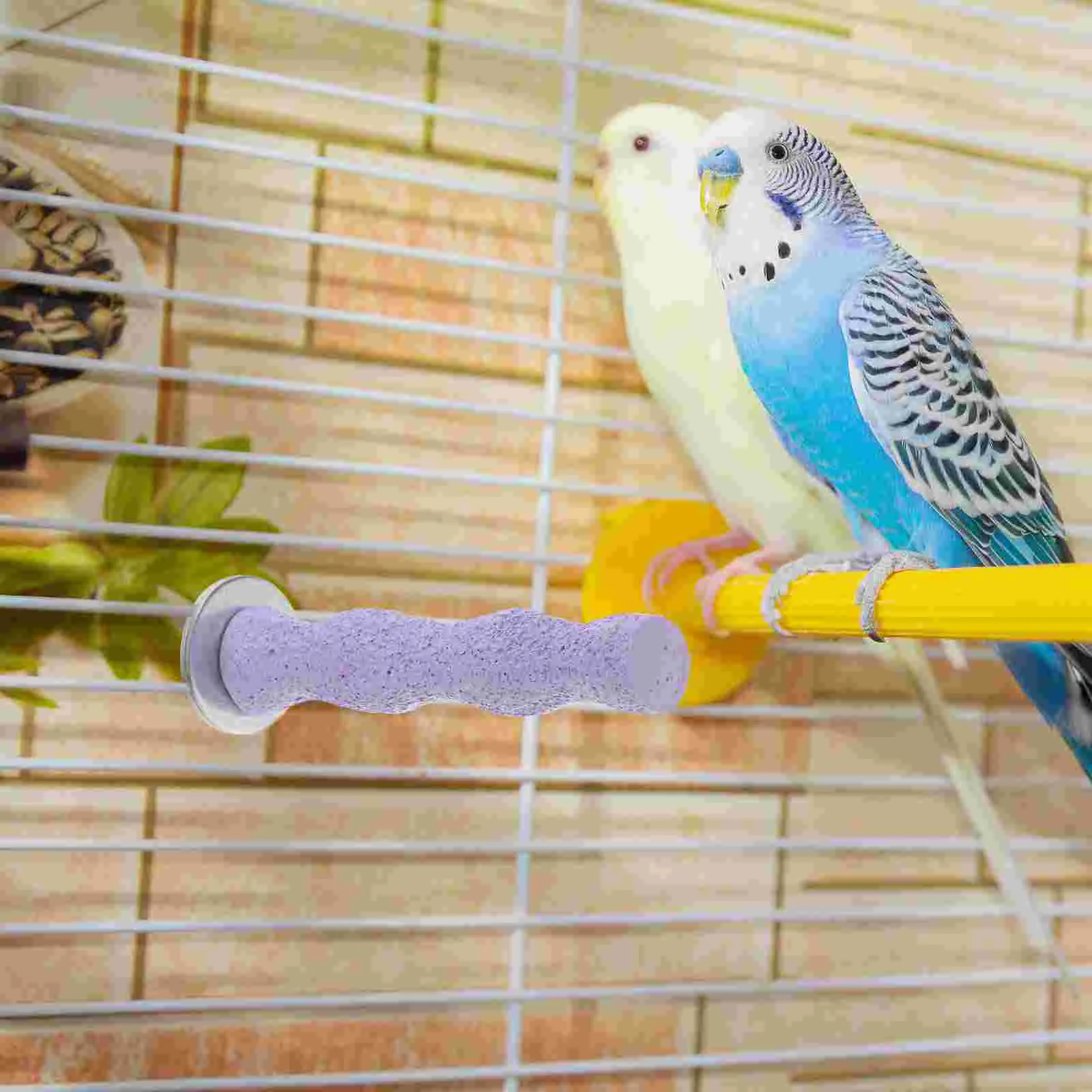 14 CM Liner Travel Hammock Parakeet Stand Toys Wooden Parrot Perch Cage Grind Arenaceous Stick