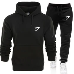 Men's Luxury Hoodie Set  Print Sweatshirt Sweatpant for Male Hooded Tops Jogging Trousers Suit Casual Streetwear Tracksuit