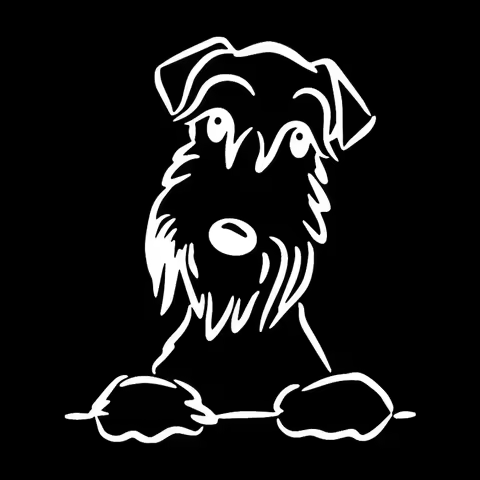 Fashion Cute Schnauzer Dog Car StickerDecal PVC Sunscreen Waterproof Sticker Decor Suitable 22cm X 20cm