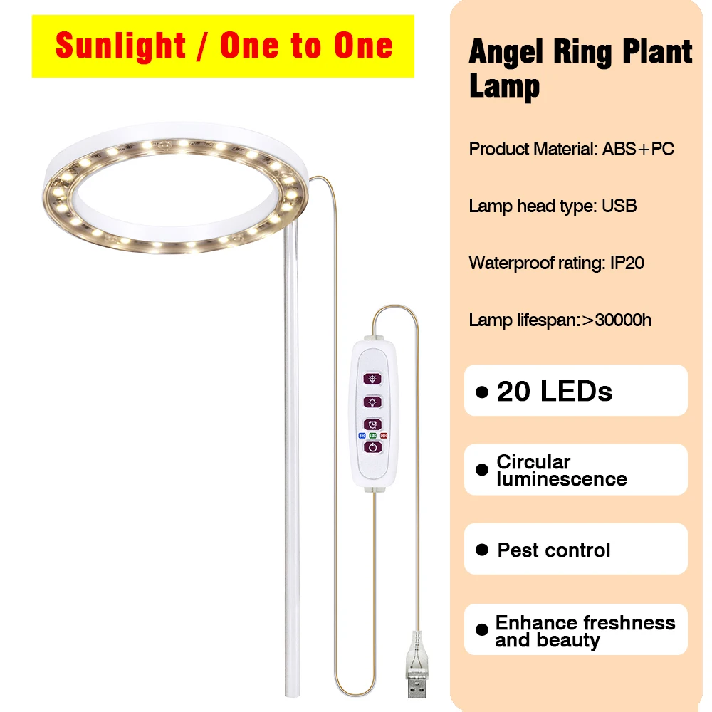 Sun Yellow 1 head
