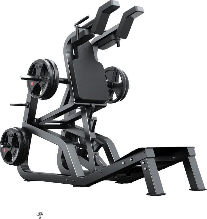 

Hack Squat Machine Leg Hips Strength Trainer Press Extension Sports Wholesales Factory Price Oem Commercial Healthy