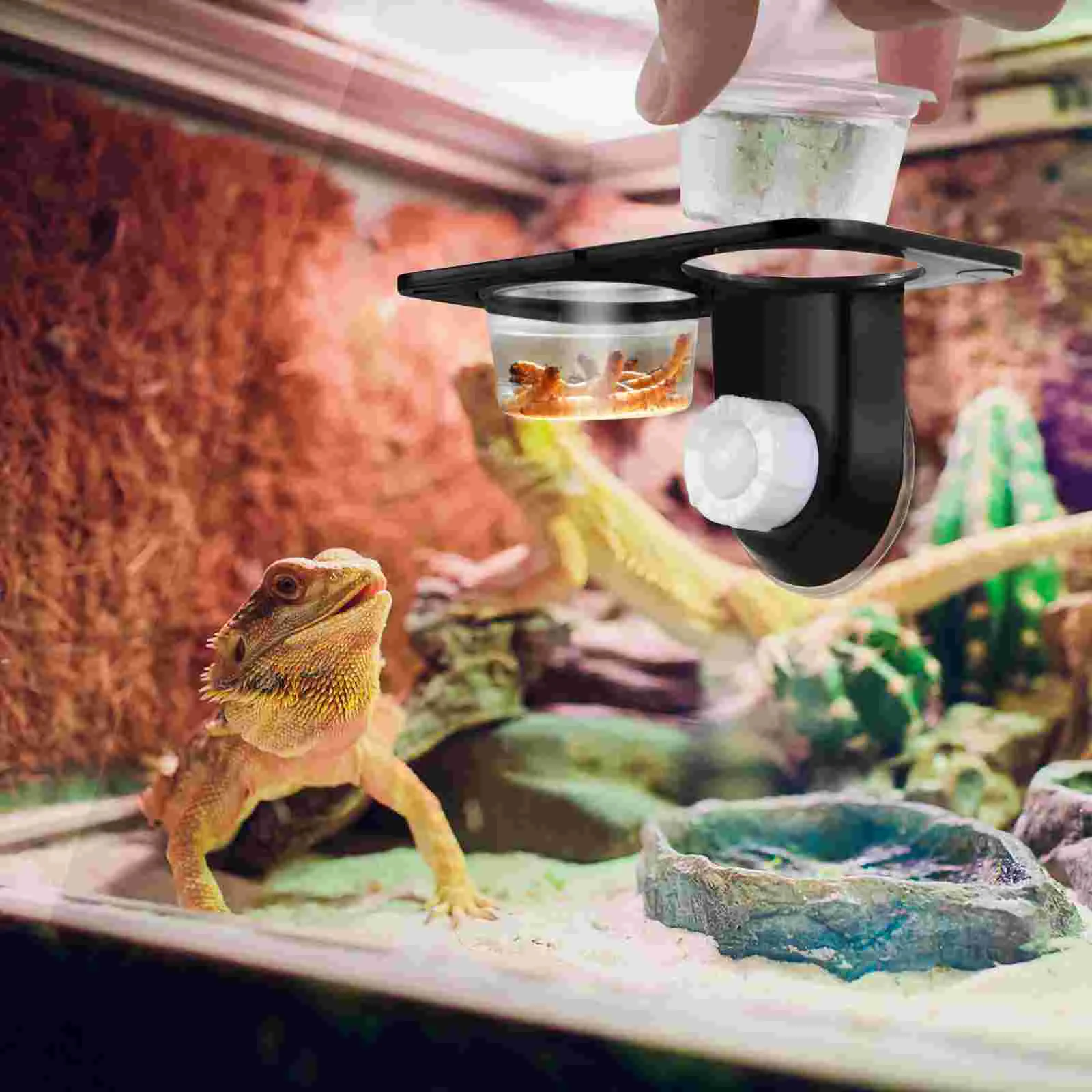 

Magnetic Feeding Ledge Crested Gecko Water and Food Container Double Cup Tortoise Reptile Bowl