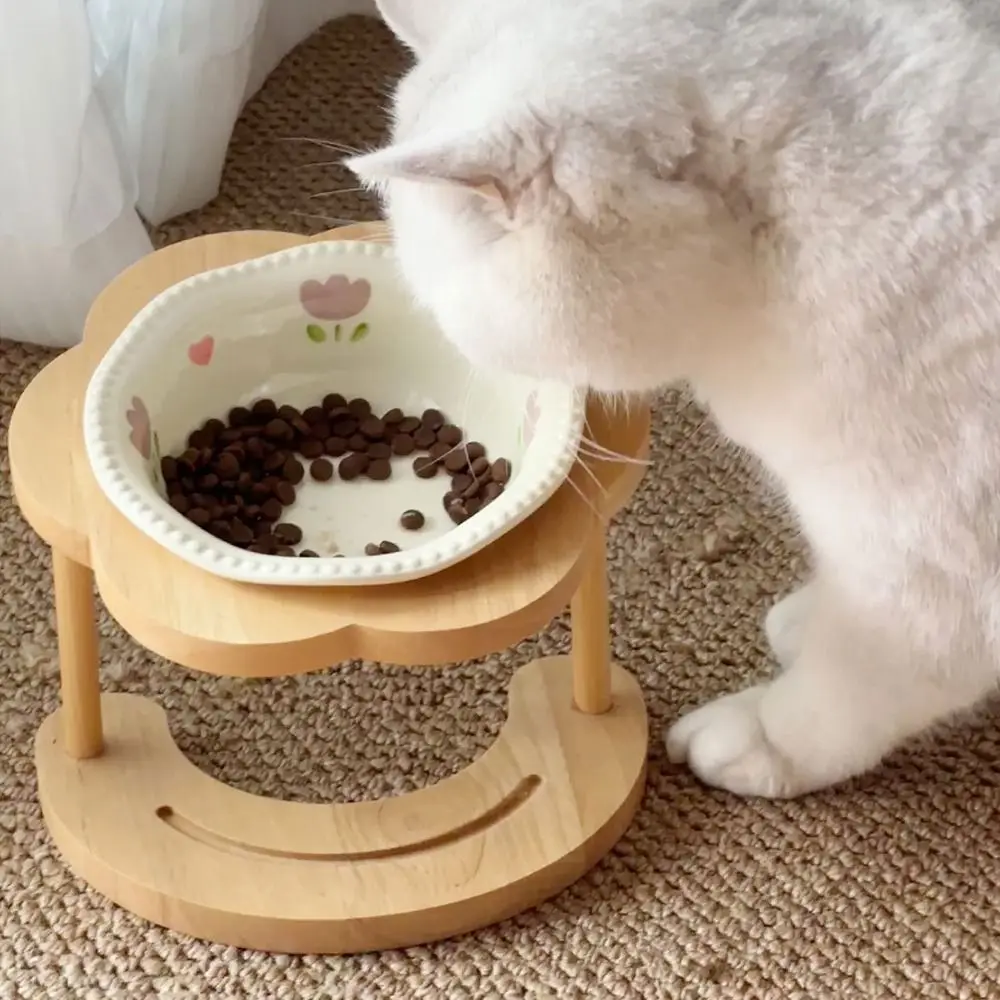 

Anti Vomiting Ceramic Cat Bowl Anti Slip Neck Protection Cat Feeding Station with Wooden Stand Detachable