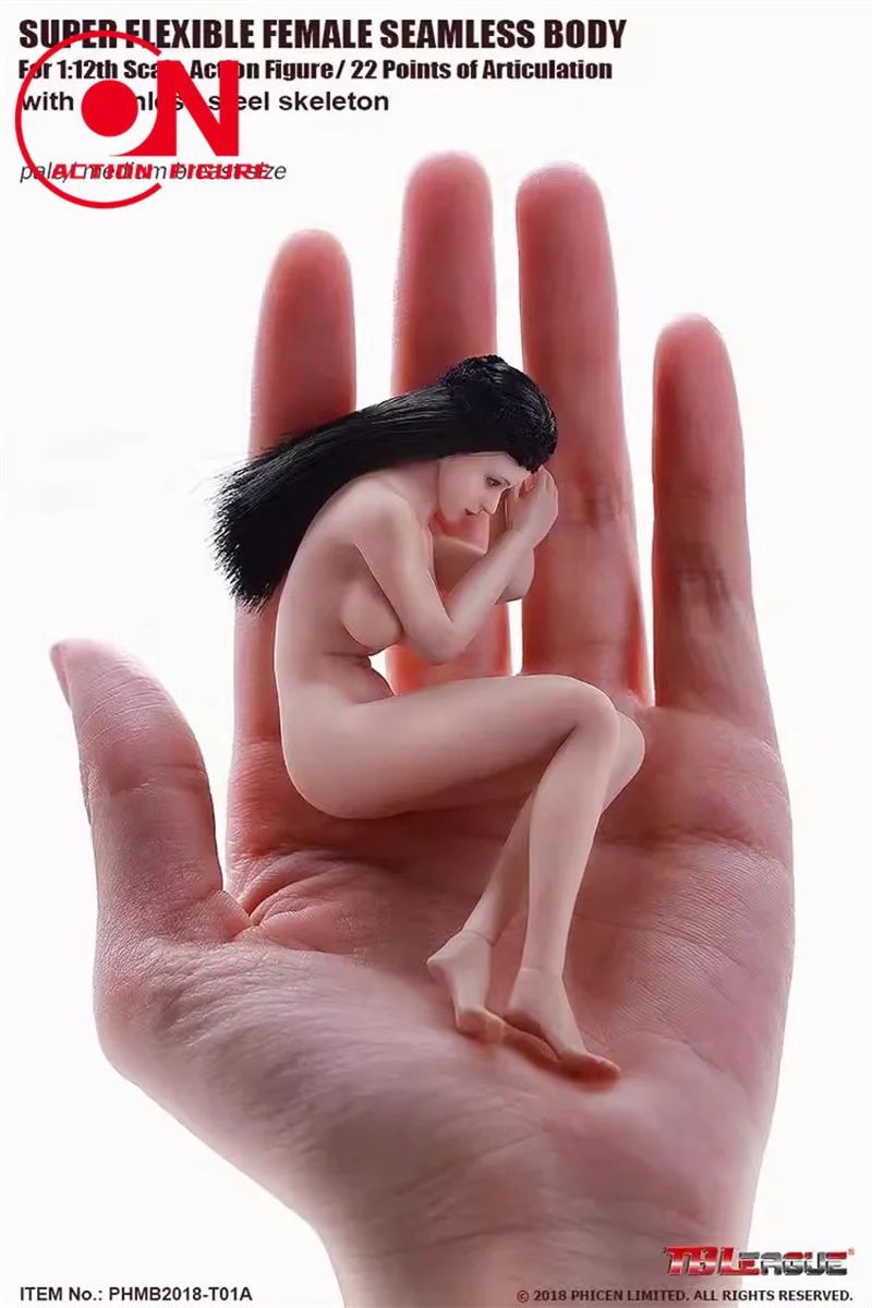 جسم أنثوي بدون خياطة برأس ، ثدي سنتان شاحب متوسط ، شكل حركي للفتيات ، عرض T01B ، 6 بوصة ، مقياس