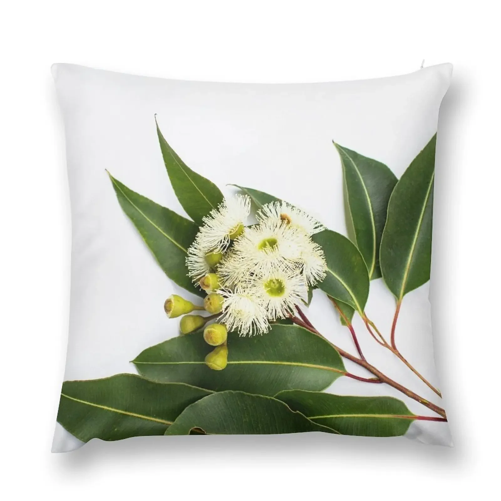 Eucalypt Marri flowers, Western Australia Throw Pillow Pillowcases Bed Cushions Sofa Pillow Cover Covers For Sofas pillow