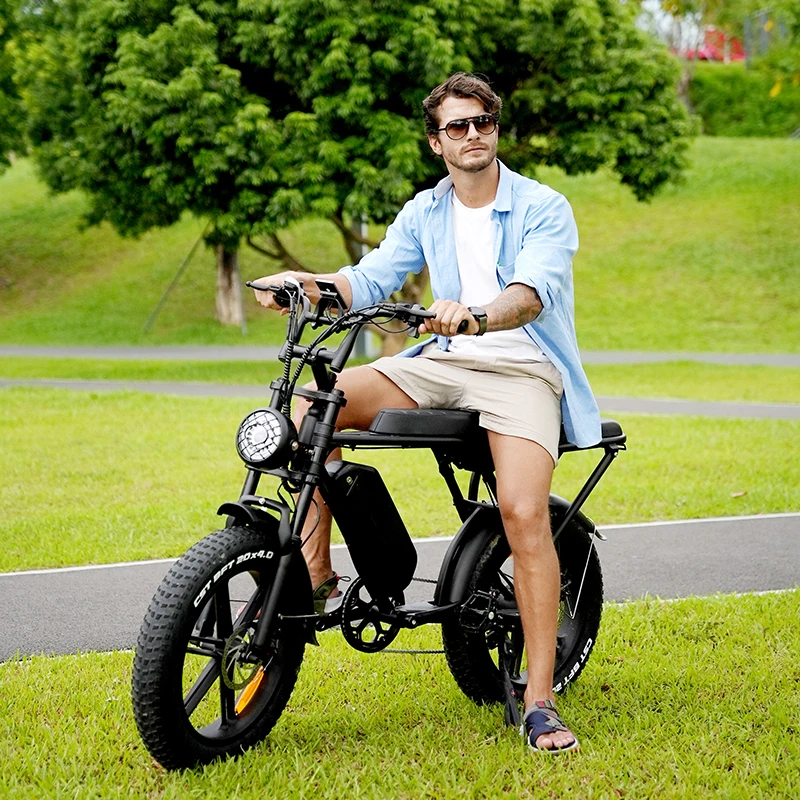 

350W 48V Carbon Steel Electric Mountain Bike Fatbike with 21 Speed Integrated Battery Rear Hub Motor 35-50 km Range