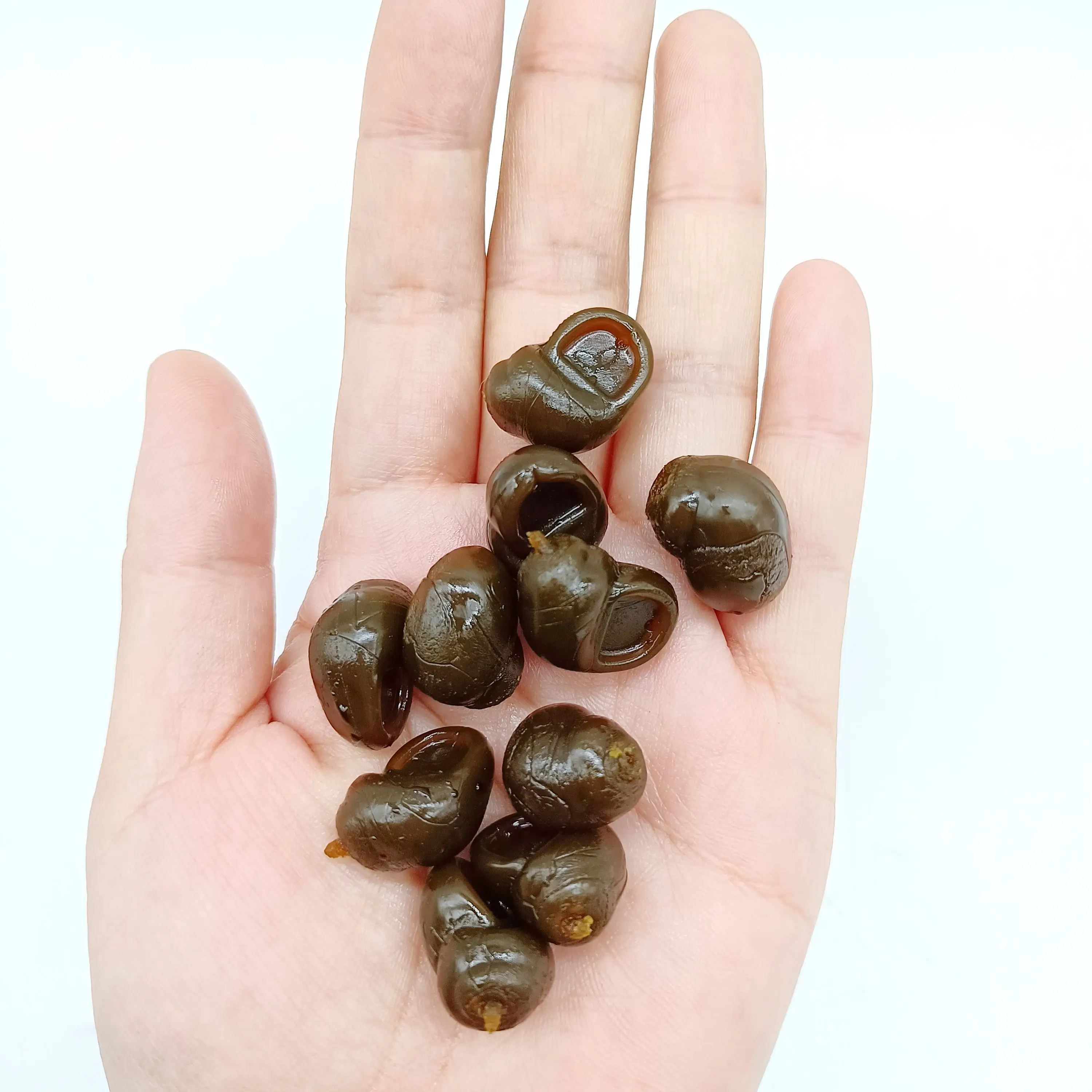 DUODUOYU 10 Stück TPE schwimmende Schnecke, weicher Köder, 1,5 g, realistischer schneckenförmiger Boilie-Schwimmköder für Karpfenhaar, Zig-Rig-Methode-Feeder