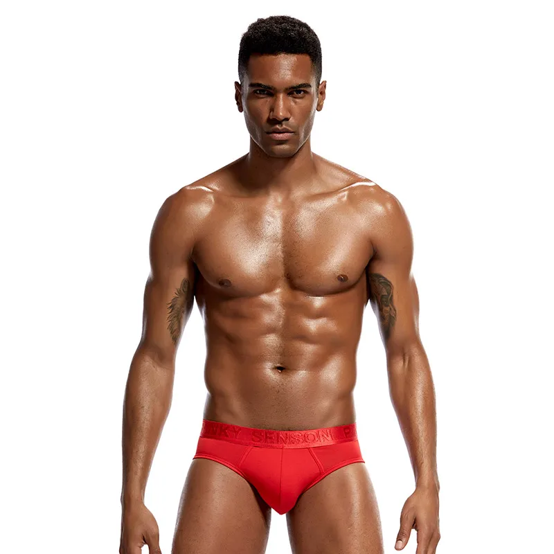 4 PCS Men Fashion Sexy Gay Classic Men's Briefs New Male Sleepwear Panties Low Waist Underpants Modal Underwears Briefs image 4
