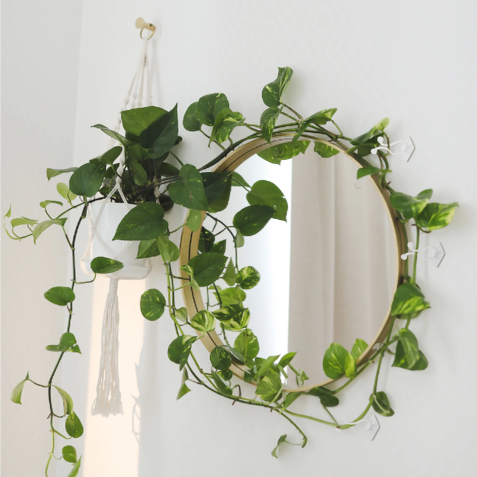 

90Pcs Stylish Wall Plant Climbing Clips Green Vine Holders Sticky Fixtures Garden Clips