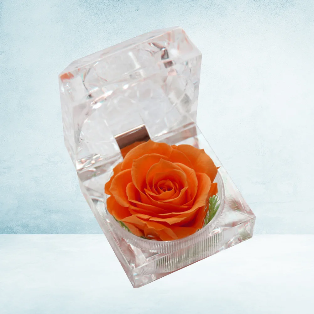 Confezione regalo da 1 pezzo Fiore conservato Fiore dell'eternità Nessun rischio di allergia Decorazione romantica per camera da letto Soggiorno Arancione