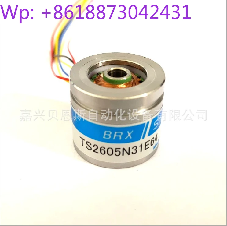 Encodeur Tamagawa BRX Smartsyn TS2605N31E64 avec résolveur intégré à 1 étage de 4 mm