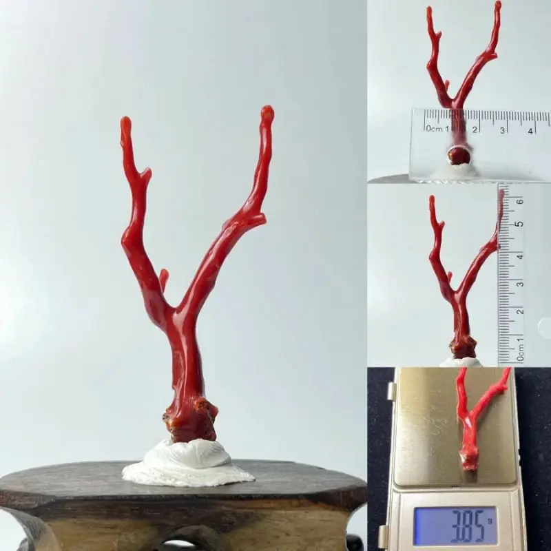 Natural Gem Jewelry For Buddha Seven Treasures Red Coral Original Branch Corner Broken Branch Seven Treasures For Buddha Coral