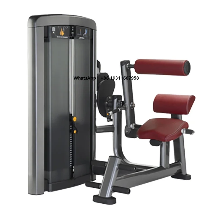 

Selling Best Exercise for Fat Used Best Fitness Equipment Brand Back Extension