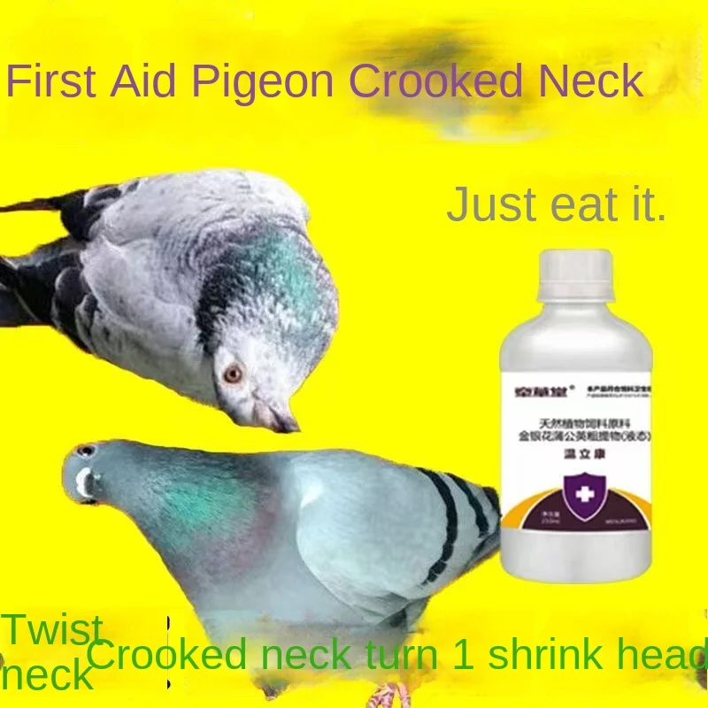 Piccione Da 250 Ml Con Colli Inclinati, Teste Inclinate, Colli Inclinati, Salmonella, Teste Inclinate, Colli Contorti, Piccioni Da Corsa, Piccioni Domestici