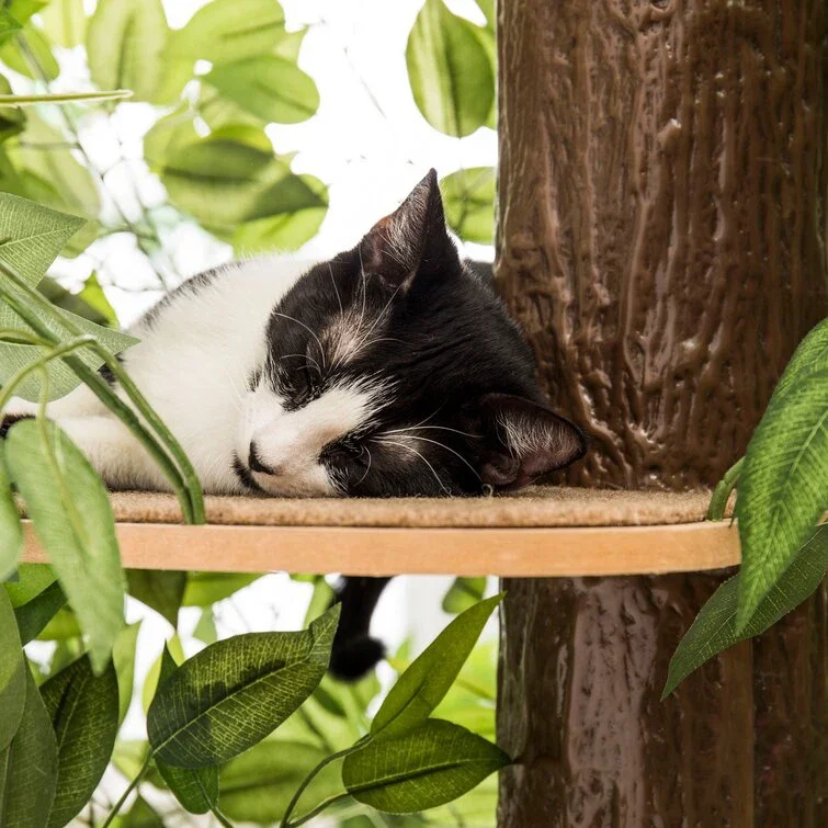 Cat tree with leaves large square kitten apartment activity tree cat climbing frame cat tower