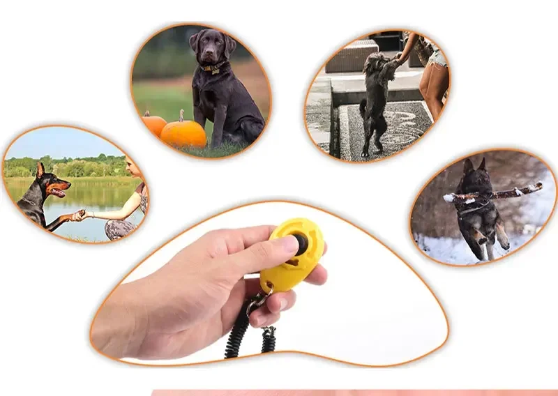 Haustier-Trainingsklicker mit Handschlaufe, Einstellbares Ton-Trainingsgerät für Hunde, Katzen, Vögel, Pferde, Tragbares Schlüsselanhänger-Design – Detail 7
