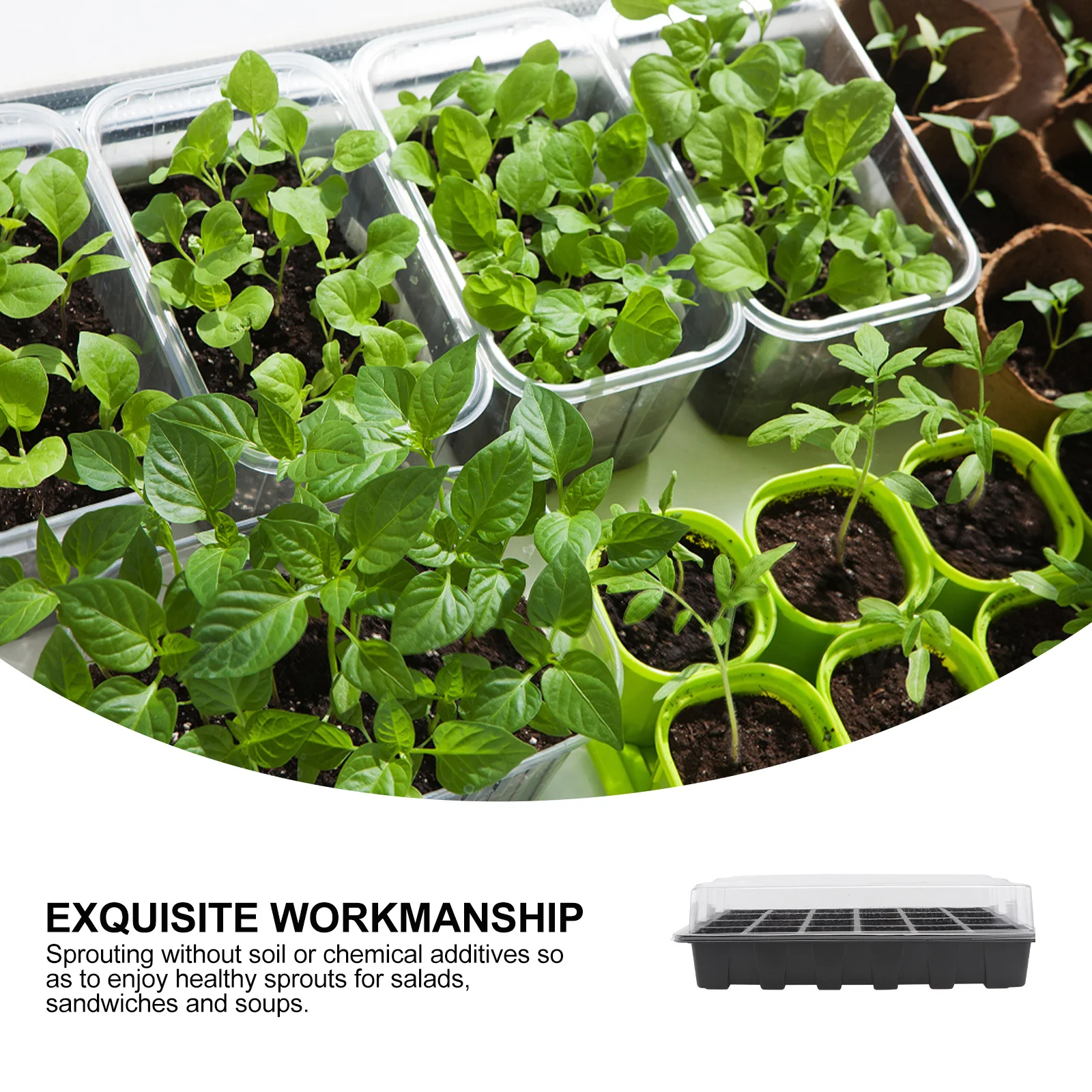 

Toddmomy 2 Sets Plastic Veggie Tray with Dome Lid Plant Starter Pots Rectangular Garden Growing Kit for Vegetables and Herbs