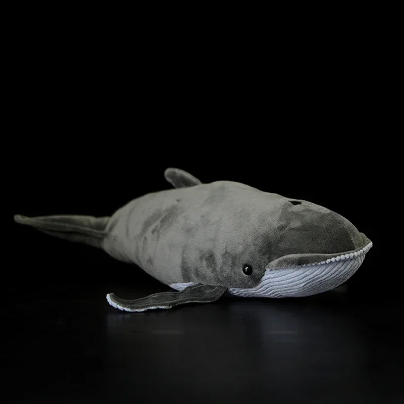 

40cm Lifelike Great Balaenoptera Stuffed Toy Soft Fish Plush Toys Simulation Ocean Animal Toy Christmas Rorquals Gifts For Kids