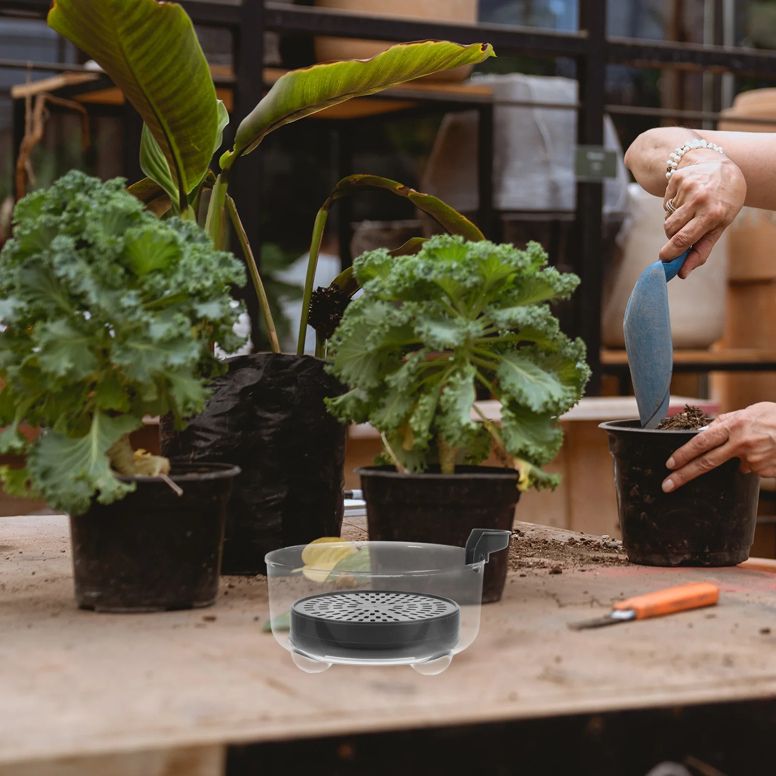 

Deep Plastic Self Watering Tray Heavy Duty Drip Tray Adjustable Height Water Catcher Elevated Pot Base Planter Riser for Indoor