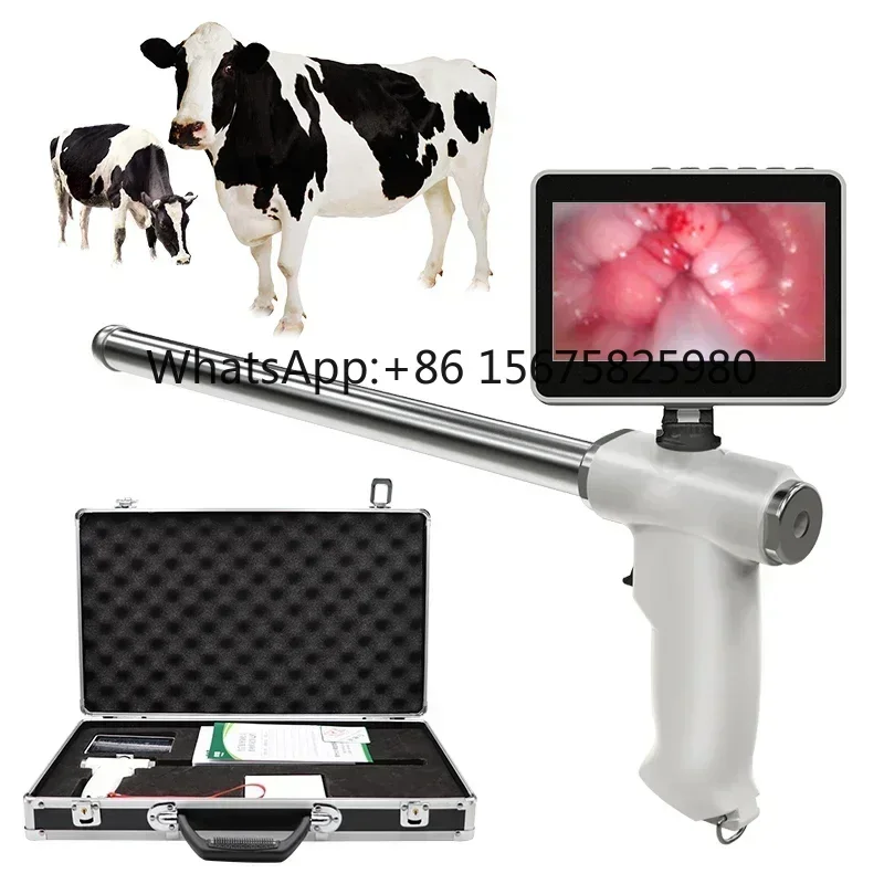 Dairy Cow Visual Insemination Device Veterinary Breeding & Examination Instrument