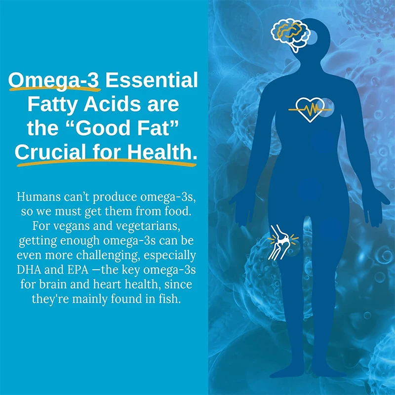 Vegetarian Omega 3 DHA and EPA - Effective Plant Supplements for Marine Algae -60 Capsules