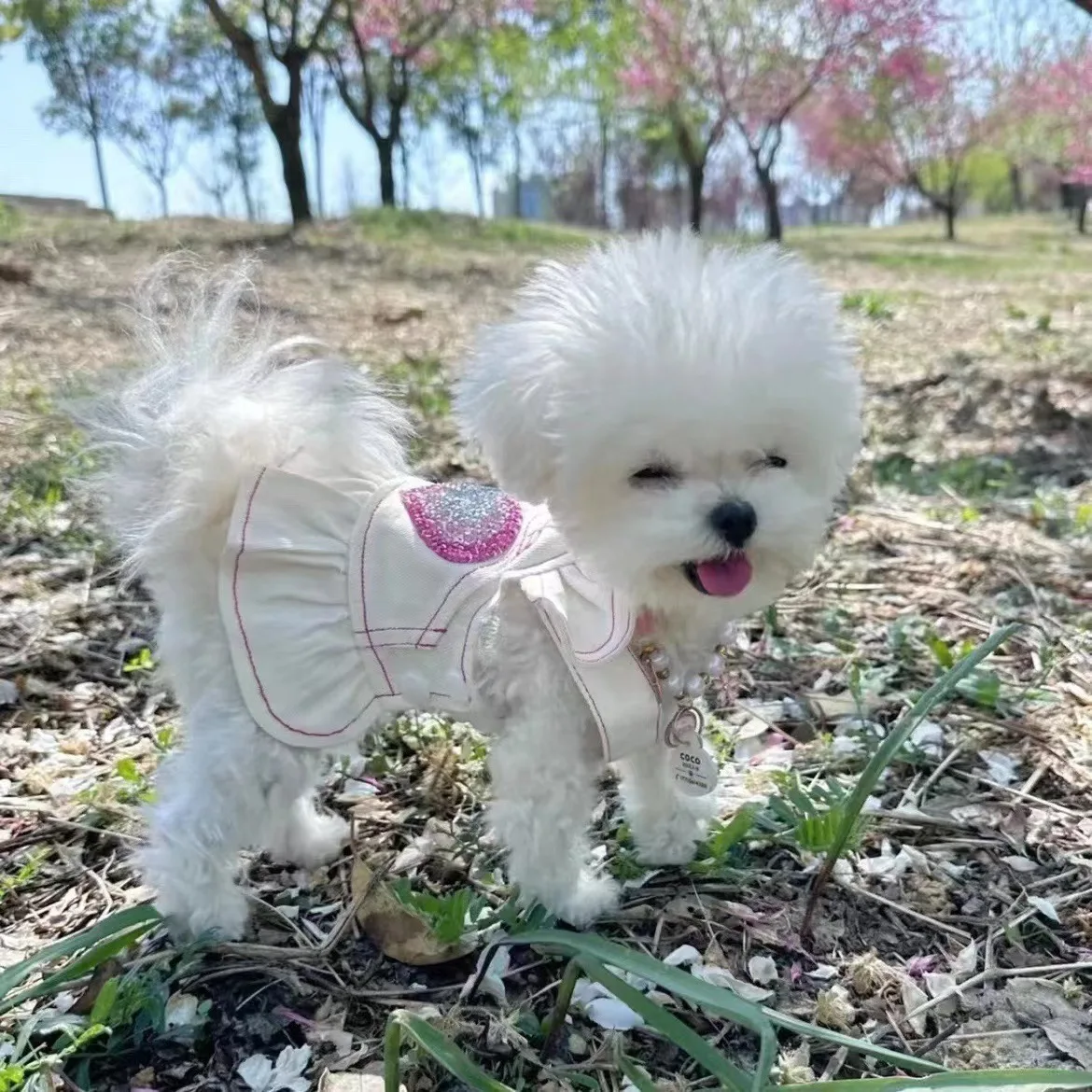 Pet Love Sequins Strap Skirt Dog White Denim Spring Autumn Pet Clothing Yorkshire Maltese Small Dog Pet Clothes Puppy Clothes