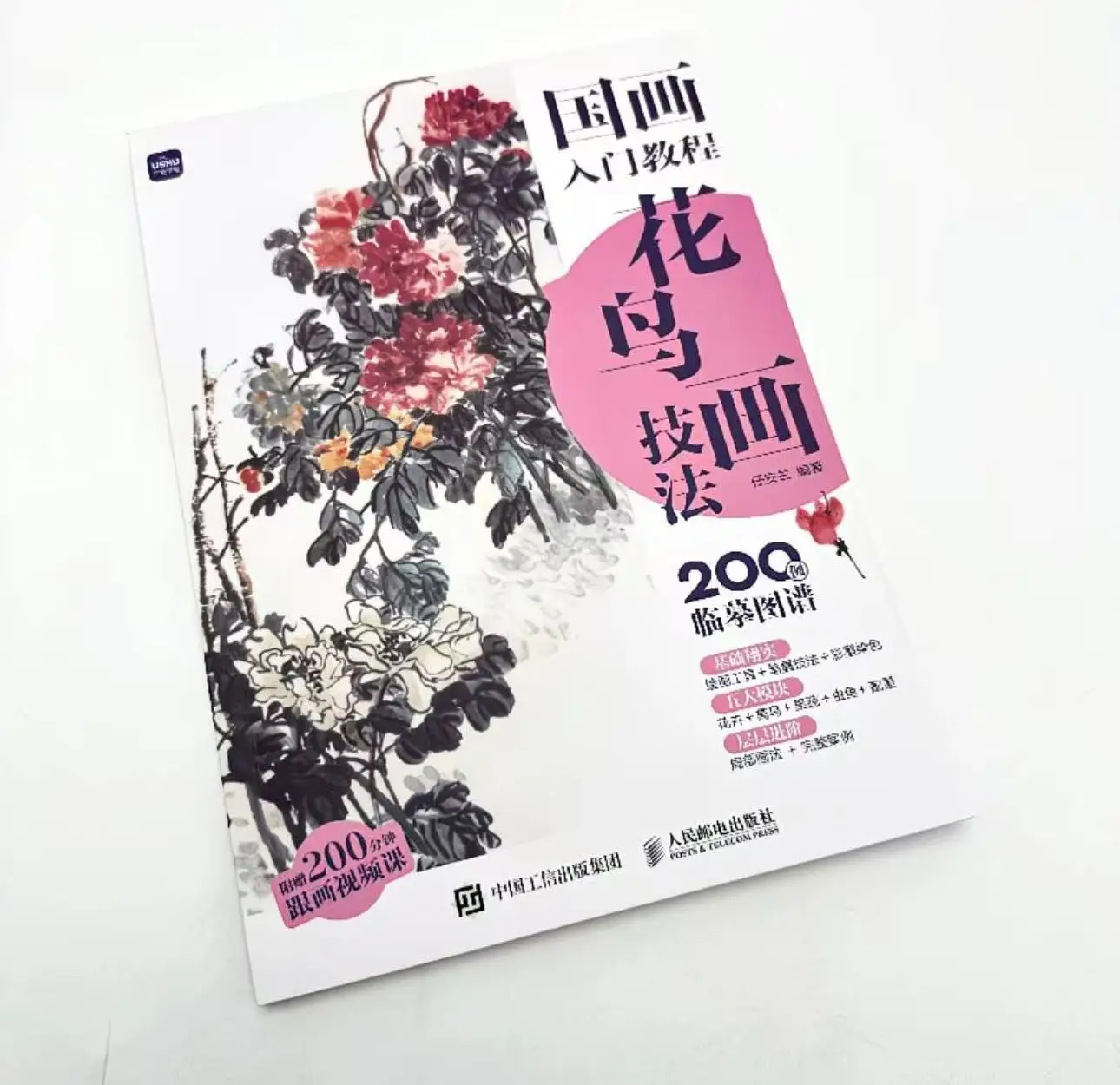 

Introduction to Chinese Painting Tutorial Flower and Bird Painting Techniques