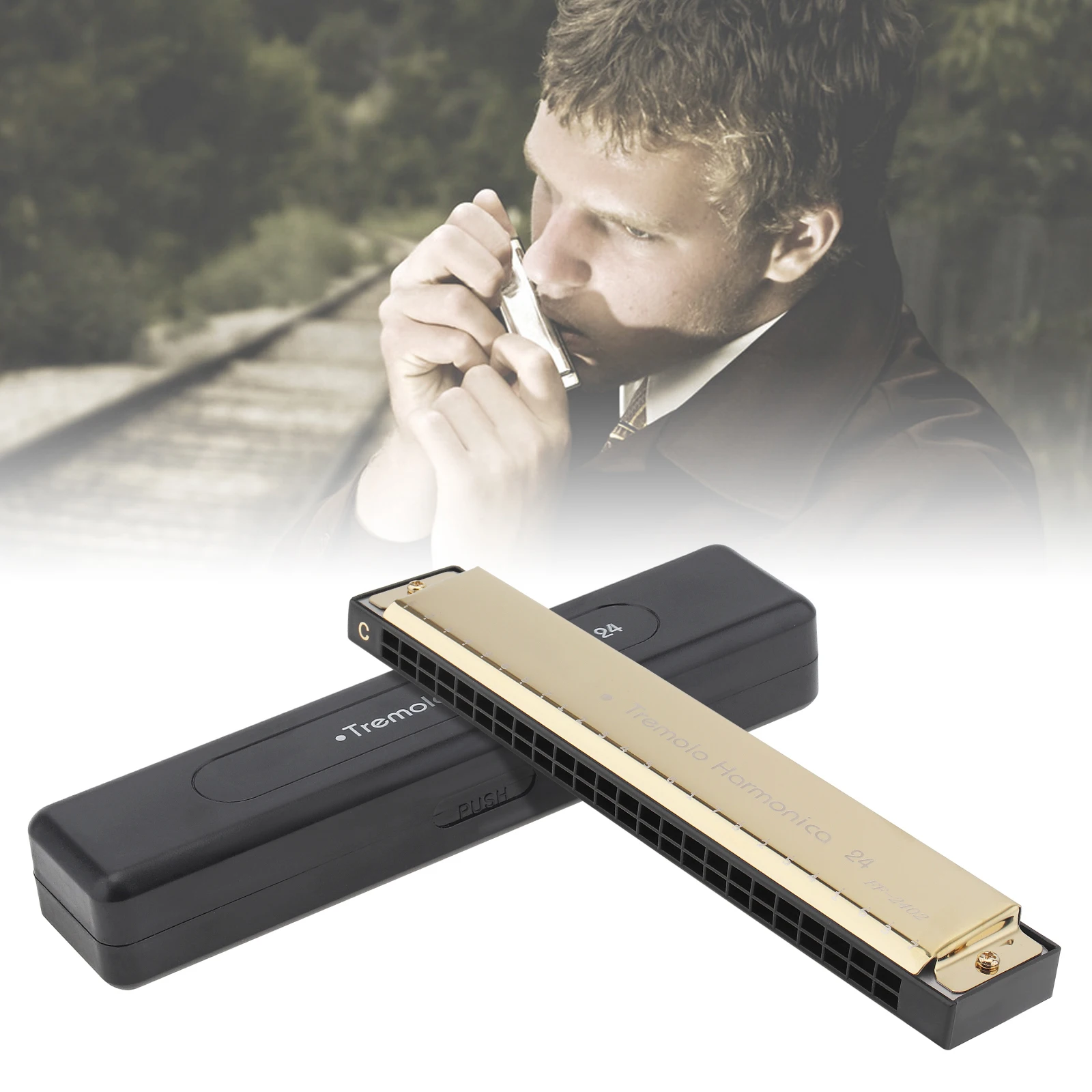 10 Hole 24 Hole Harmonica 8K Titanium Tremolo Tone Key C Harmonica Harp Mouth Organ Musical Instruments with Case