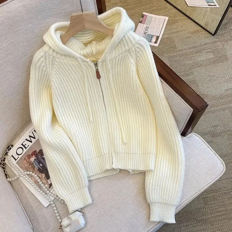 2024 Spring Autumn New Sweater Cardigan Jacket Women  Hooded Zipper Loose knitted Sweater Coat Female Casual Short Outerwear