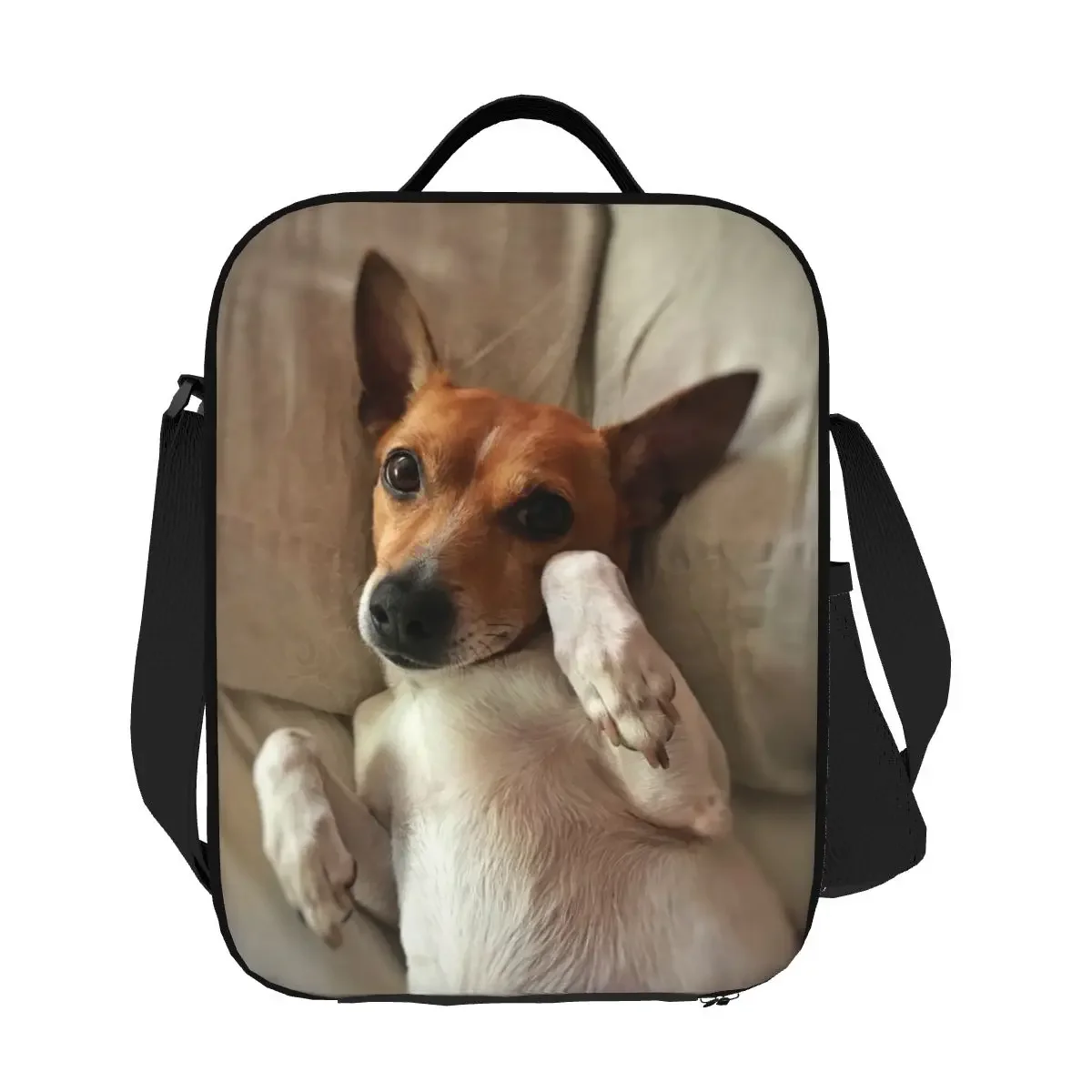 Funny Jack Russell Terrier Meme Insulated Lunch Bags for Camping Travel Dog Lover Leakproof Cooler Thermal Bento Box Women Kids