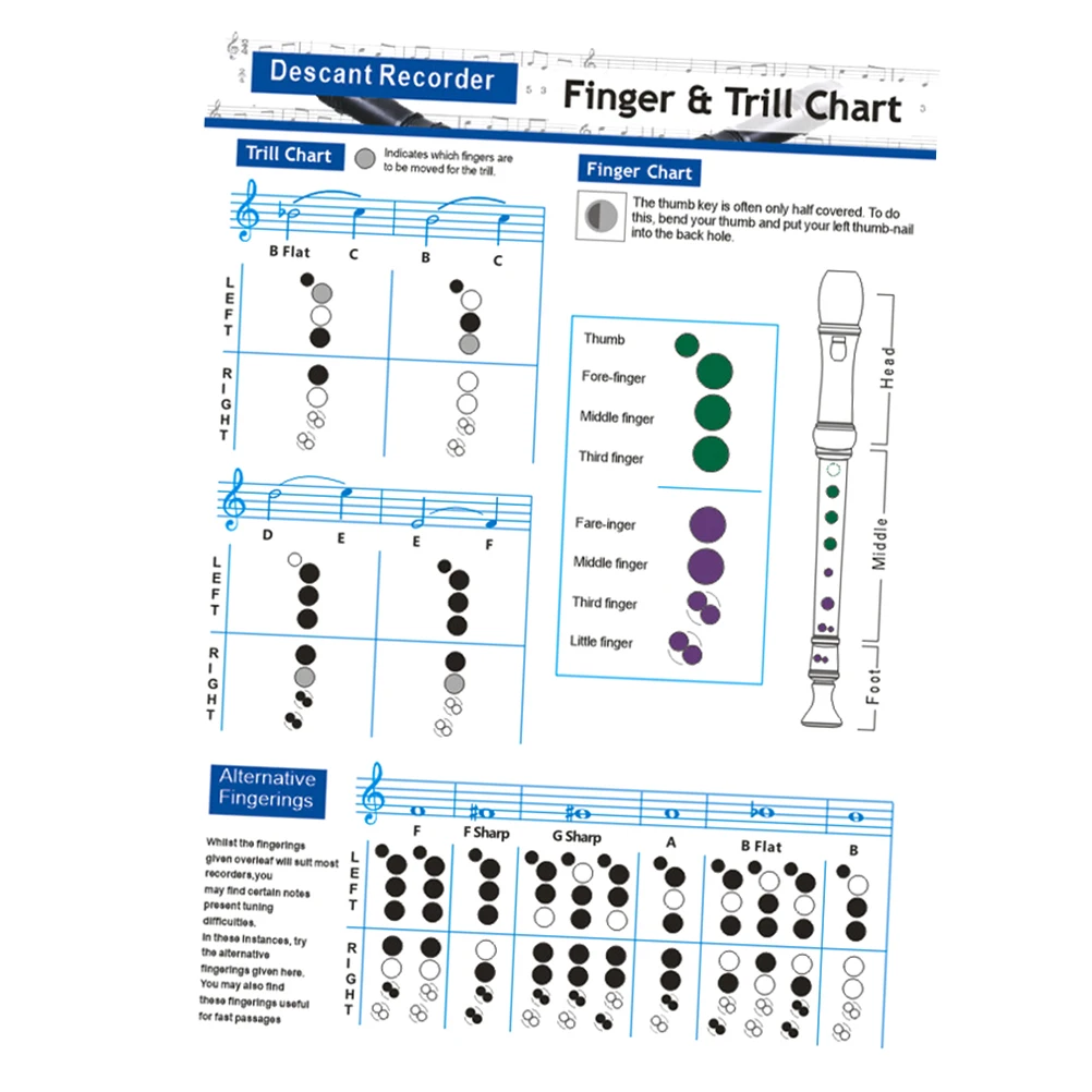 

Clarinet Fingering Chart Recorder Poster Chord for Students Bass Chords Note Flute