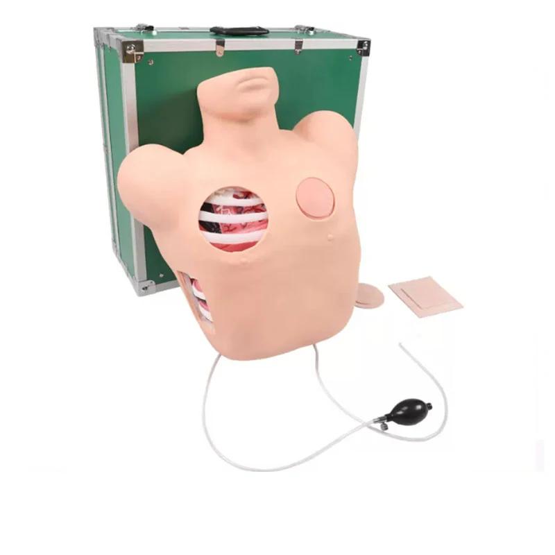 

1 Set Thoracentesis And Drainage Model,Pneumothorax Puncture Hydrothorax Intubation Care, Chest Wound Nursing Teaching Simulator