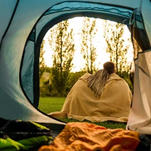 Forest Camping