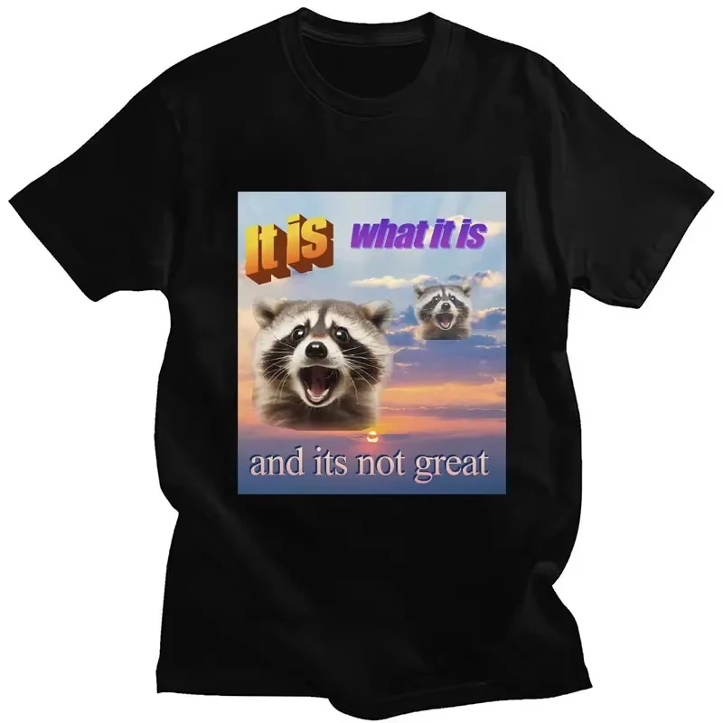 

Футболка с забавным принтом «Я стараюсь на полную» и мемом енота, унисекс, модная, повседневная, с коротким рукавом, графическая футболка