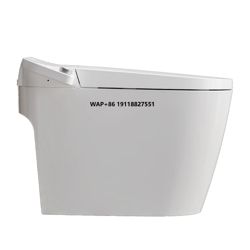 Intelligent Sanitar… - image