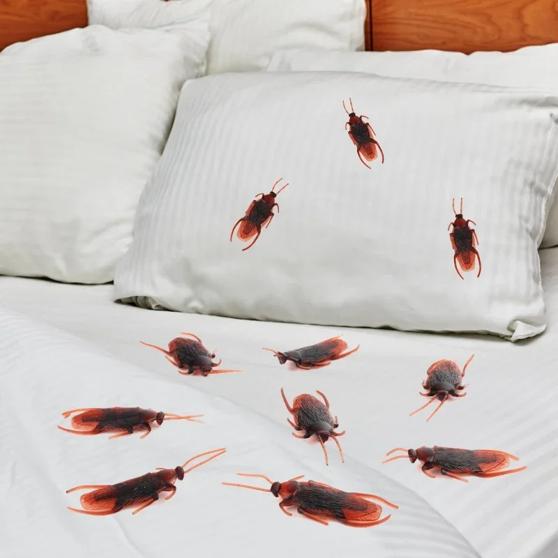 ของเล่นแมลงสาบพลาสติก 50 ชิ้น สำหรับตกแต่งฮาโลวีน ของเล่นแกล้งคน ของเล่นตลก แมลงยาง ของเล่นแกล้งคน