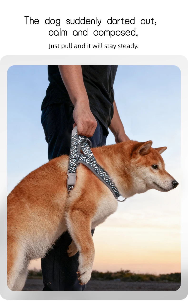 Kleines bis mittelgroßes Hundegeschirr im Sattelstil mit geometrischem Druck, modisches Outdoor-Geschirr zum Spazierengehen, kein Ziehen beim Training, schnelles Anziehen für Welpen und Haustiere – Detail 14