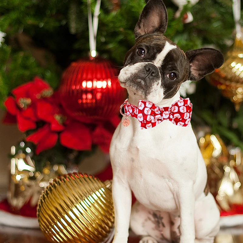 Collare per cani di natale personalizzato con zampe in stile unico con fiocco collare per cani con babbo natale rosso collare per cani a fiori cane