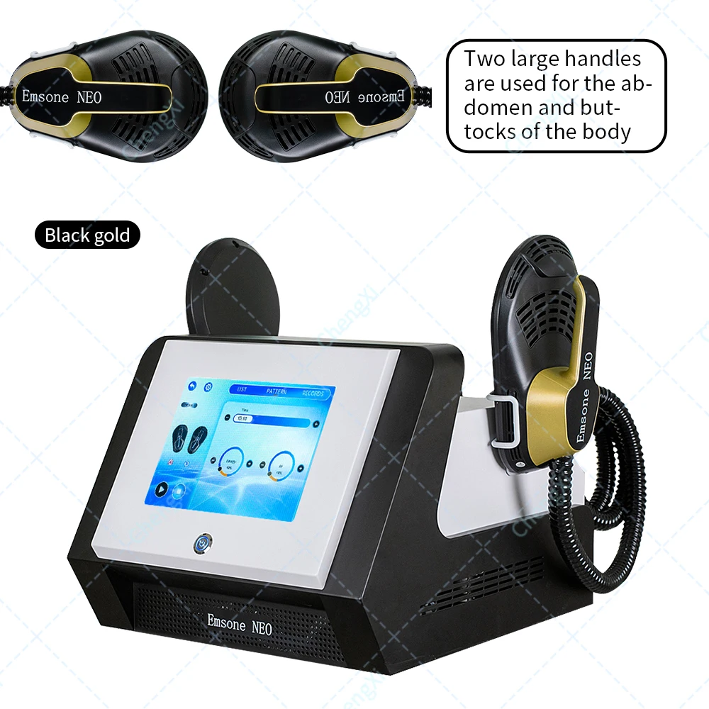 

2025 Professional portable machine with radio frequency for body building and slimming