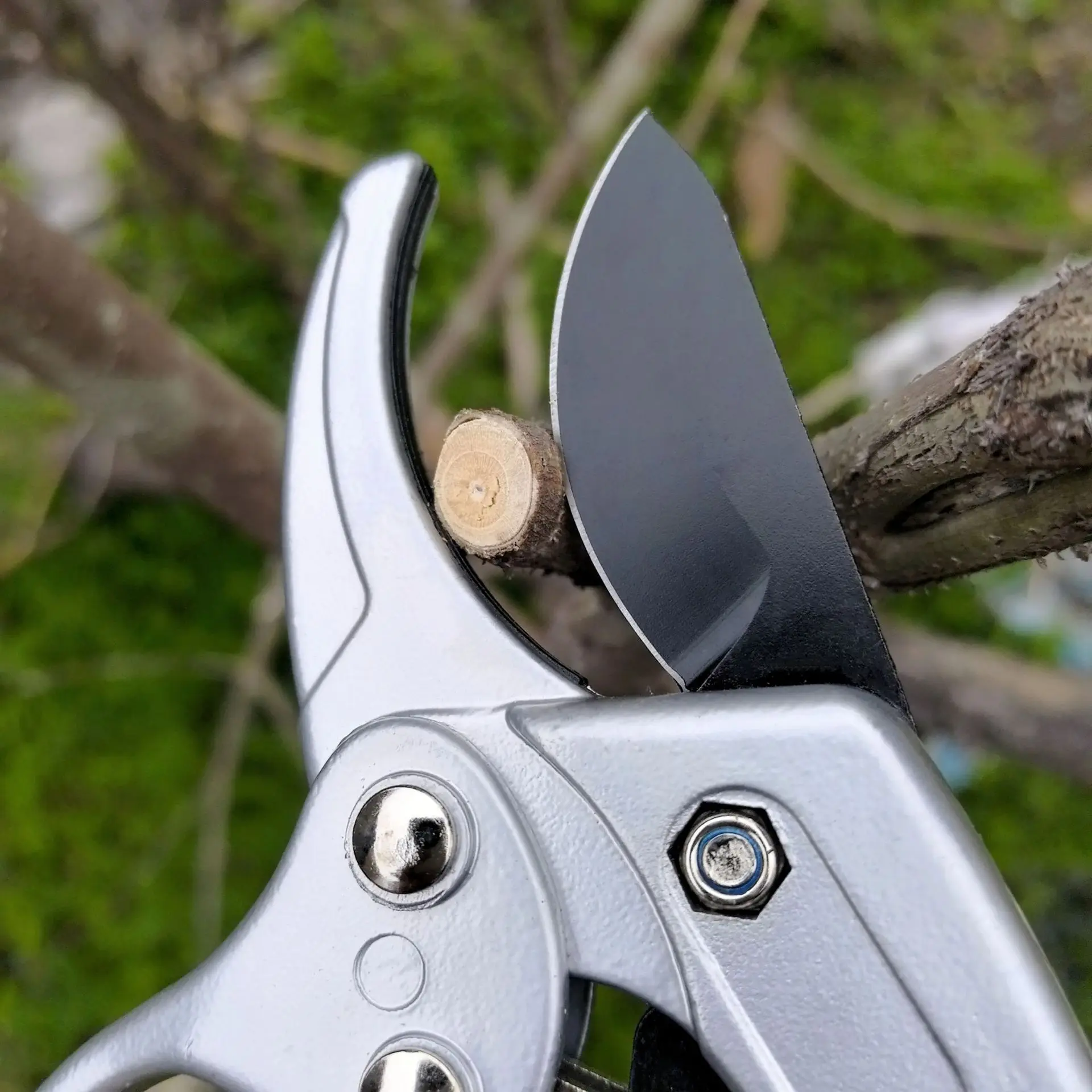 

2PCS Professional Garden Pruning Shears SK-5 Steel Fruit Tree Grafting Scissors Labor-saving Branch Cutter with Ergonomic Handle