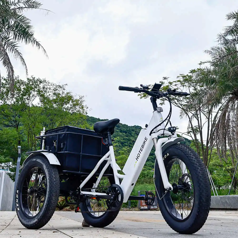 

Electric Tricycle 48v500/750w Electric Passenger Tricycle/electric Bikes for Adults