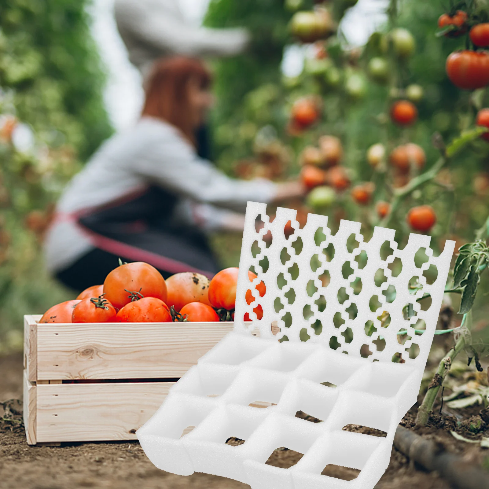 

3 Sets Fruit Protective Support Logistics Use Storage Cushion Insulation Basket Padding Pearl Cotton Thicken Liner for Boxes