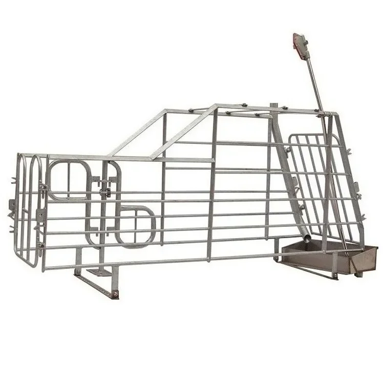 Hot dip galvanized Pig farming equipment sows gestation crates pig cages