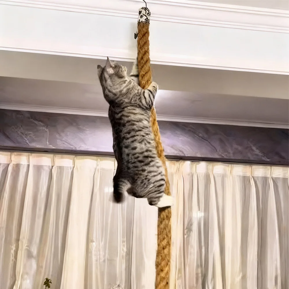 حبل تسلق القطط المثبت على السقف للعب النشط يشجع القطط الداخلية لتسلق تجربة ممتعة للقطط والقطط البالغة