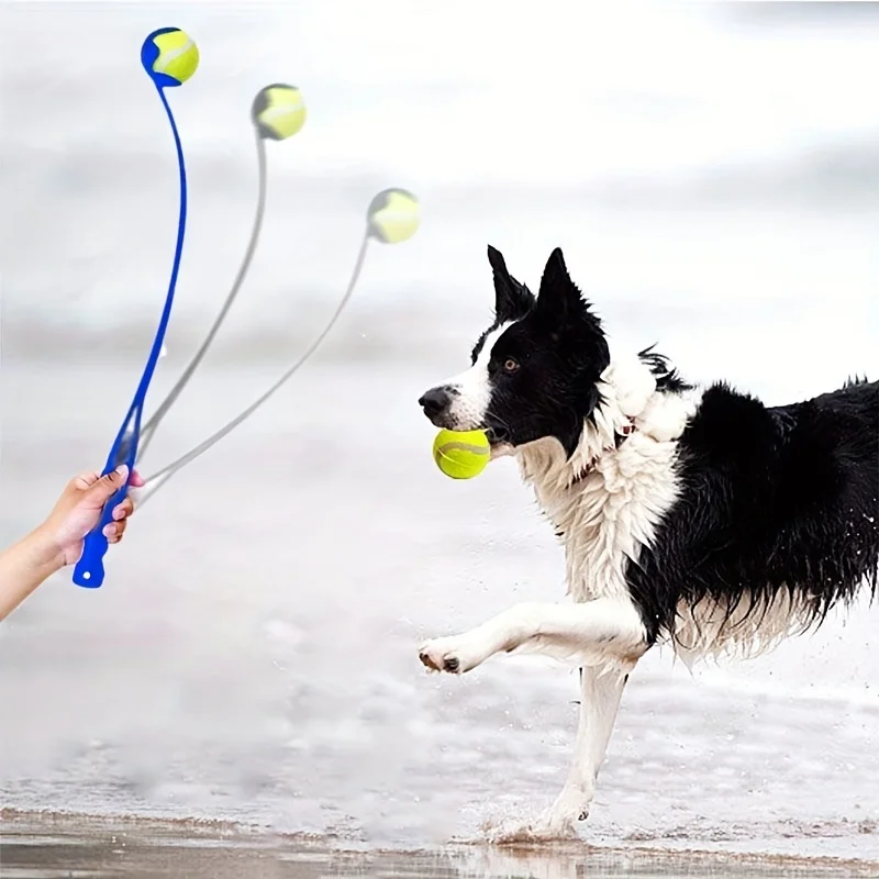 1 Uds. Juguete para mascotas, juguetes de entrenamiento, pelota para lanzar, lanzador de pelotas para perros, adiestramiento divertido al aire libre, pelota interactiva para recoger perros