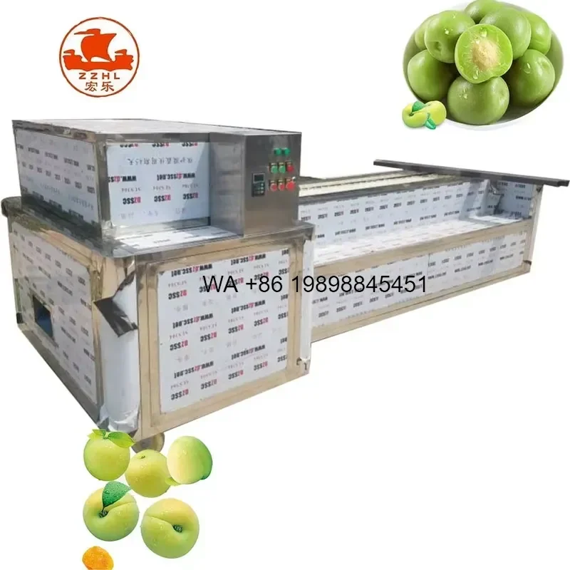 Wmwmnu Stainless Steel Lychee Peeler Pitter Peach Pitter Cherry Destoner Core Removal Low Price