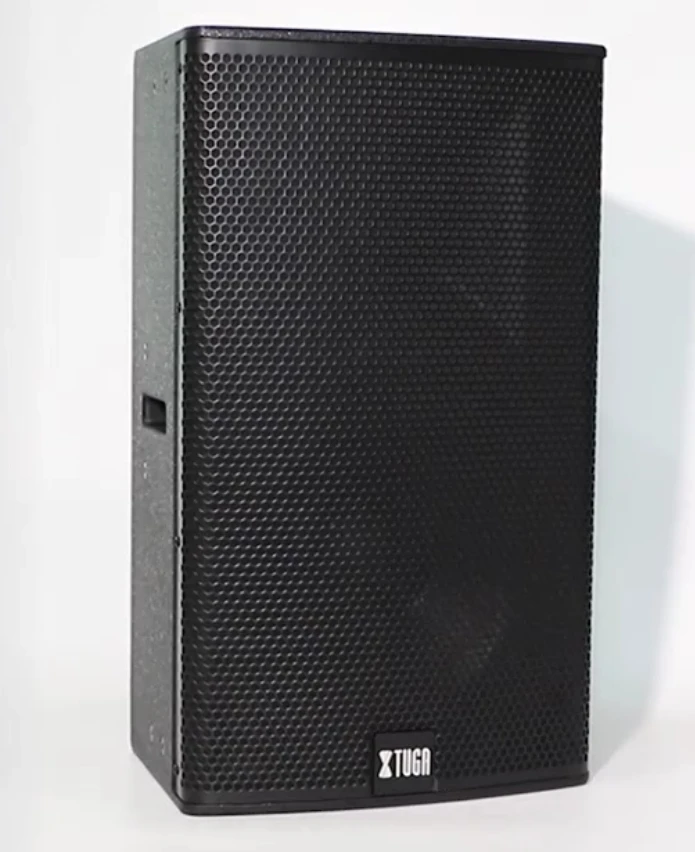 

XTUGA Facoty Hot Sale 12 Inch Wooden Active Speaker With Power Amplifier 2*400w Active Module Outdoor Party Speakers With BT/ADD