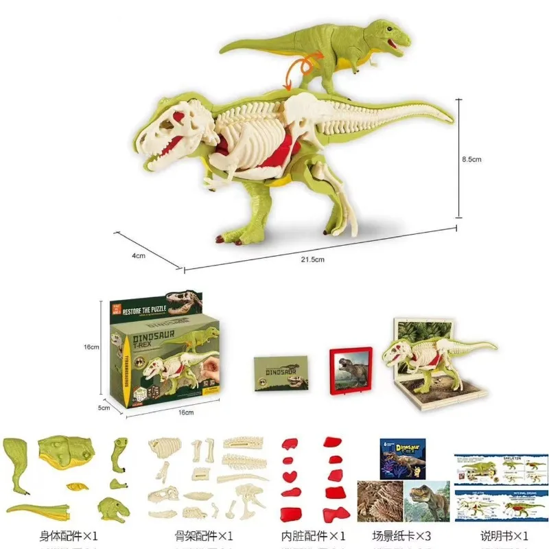 DIY zmontowane anatomiczne dinozaury zabawki dla dzieci montaż dla dzieci zwierząt kolekcjonerska zabawka dinozaura Model naukowy zestaw edukacyjny